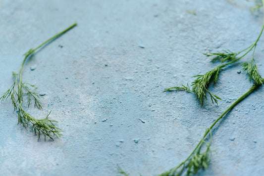 Senf-Dill-Sauce - Die Ursprünge